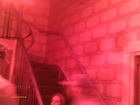 Andrew Jackson's Ghost at the Hermitage?